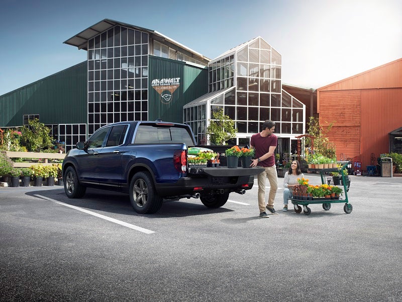 Used Car Dealer Parker CO