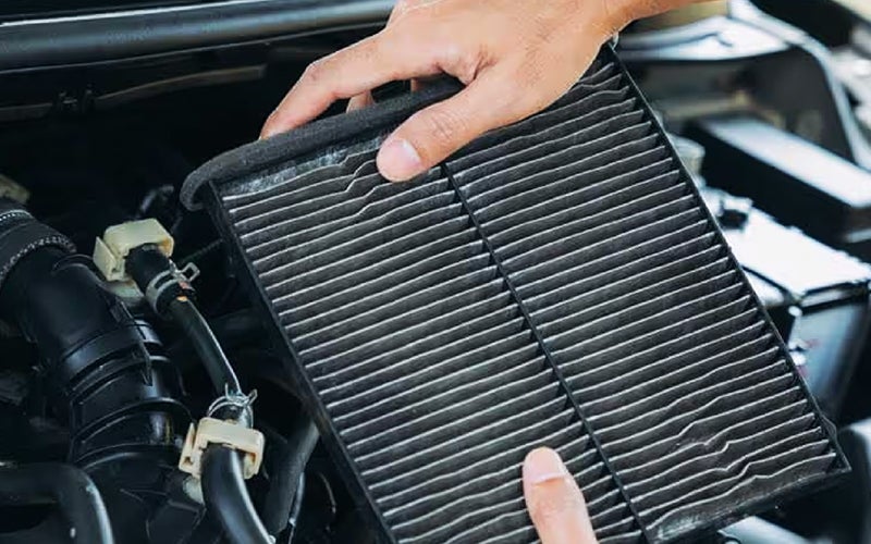Cabin & Engine Air Filter