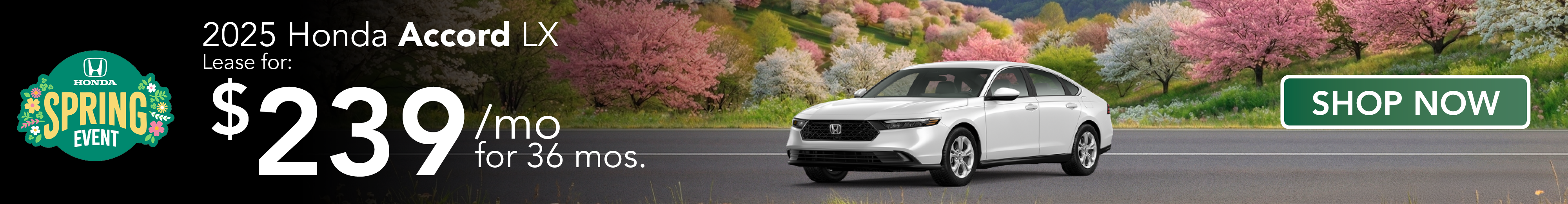 2026 Honda Accord Offer